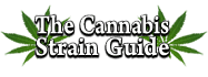 Cannabis Strain Guide